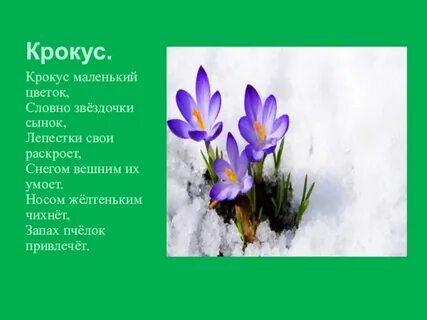 Сообщения детей из крокуса