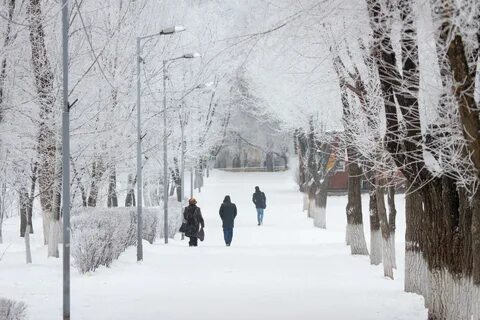 Зимние комментарии