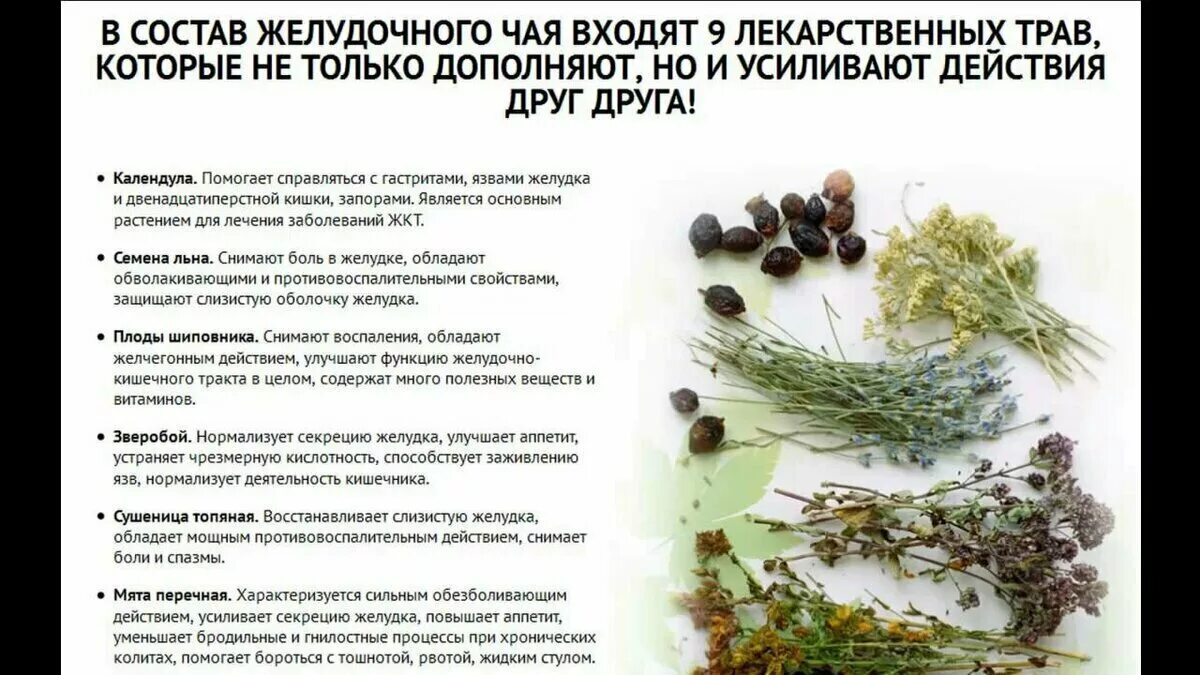 Народные средства лечения слизистой. Лекарственными травами. Лекарственные растения для кишечника. Полезные травы для чая. Лекарственные травы при онкозаболевании.