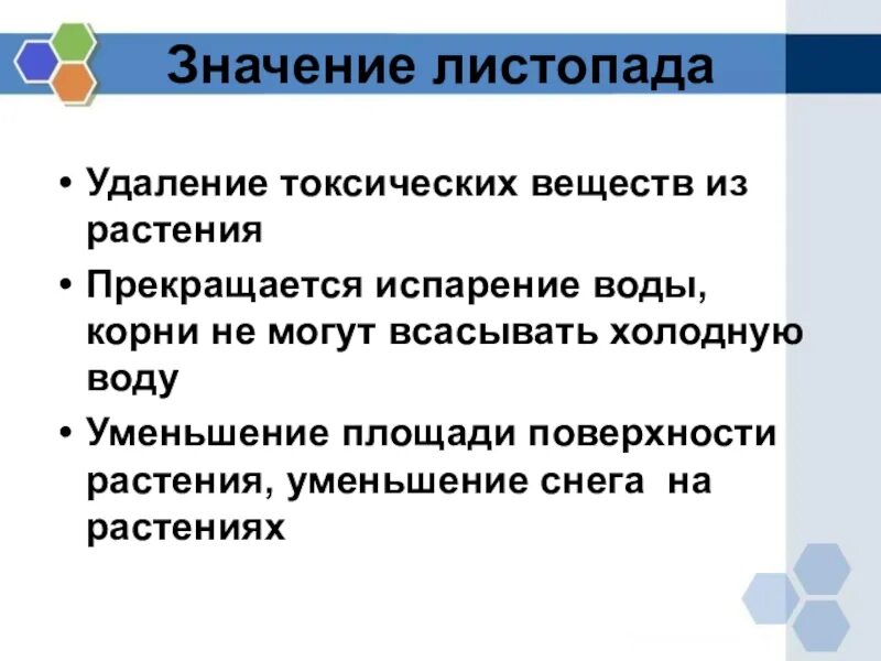 Значение листопада. Значение листопада 6 класс. Значение листопада схема. Значение листопада 6 класс биология. Биология 6 класс тема листопад