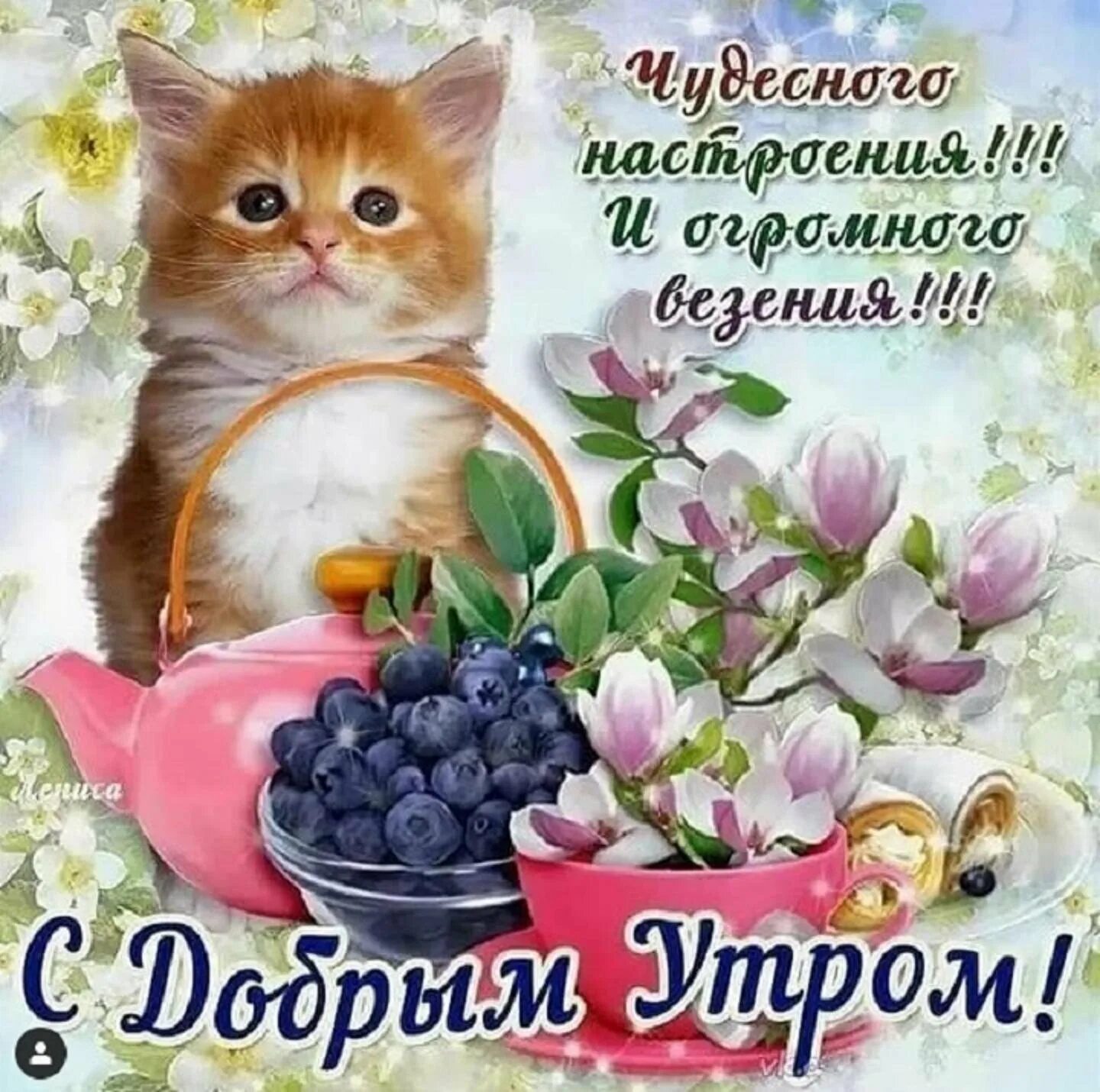 Доброе утро новые вацап