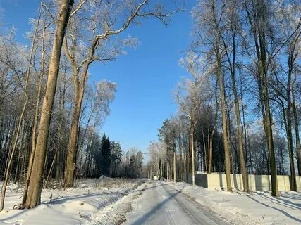 Иней 65 д данилово отзывы