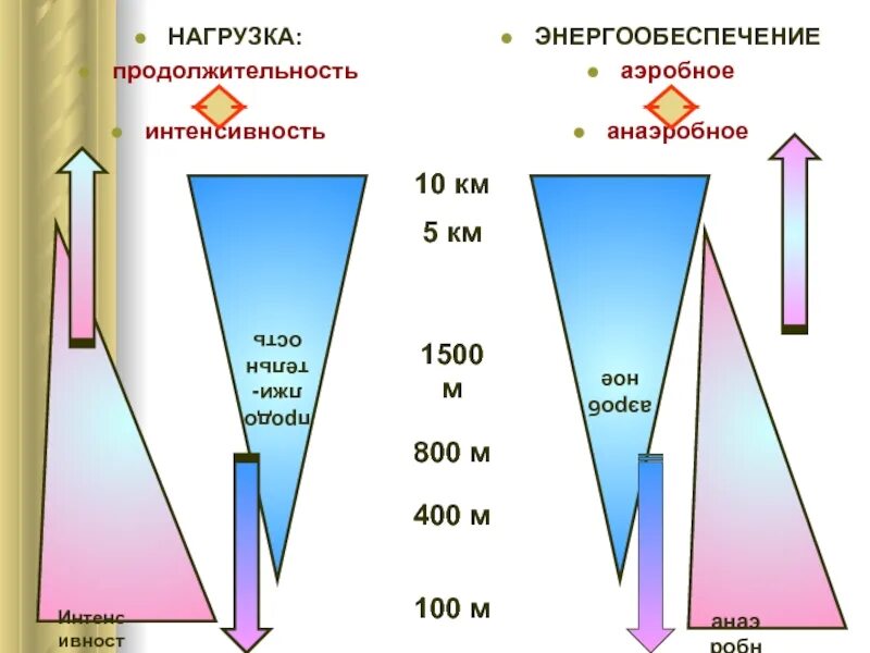 Аэробная нагрузка и анаэробная нагрузка. Аэробная и анаэробная нагрузка что это. Анаэробное энергообеспечение. Типы аэробного и анаэробного энергообеспечения. Аэробного типа