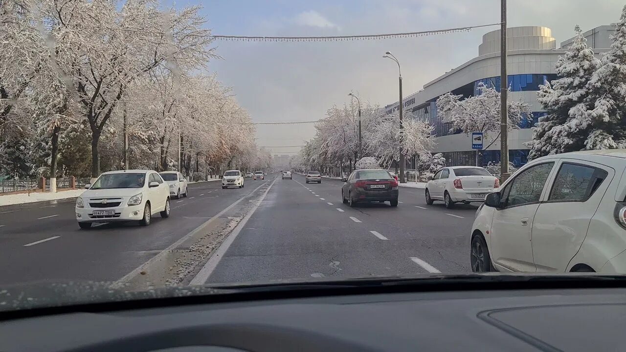 Ташкент за 1 день. Ташкент в ноябре. Снег в Ташкенте. Первый снег в Ташкенте. Snegopad Tashkent.