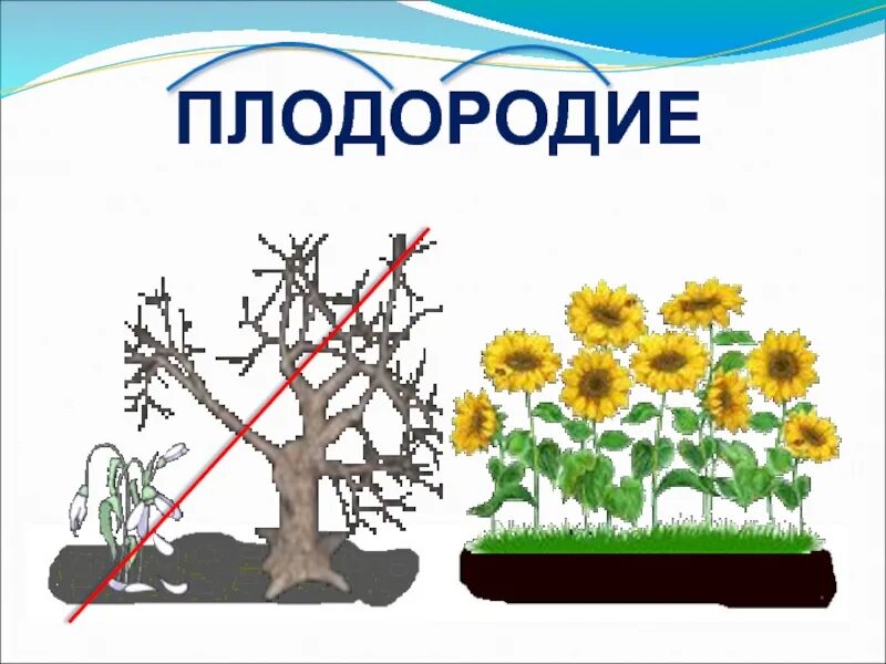 Плодородие д. Плодородие рисунок. Плодородие рисунок для 4 класса. Плодородие композиция. Рисунок плодородие 4 класс окружающий мир.