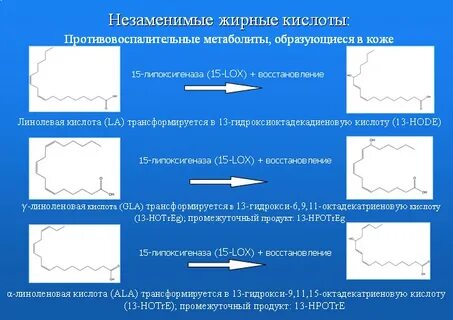 Незаменимые жиры