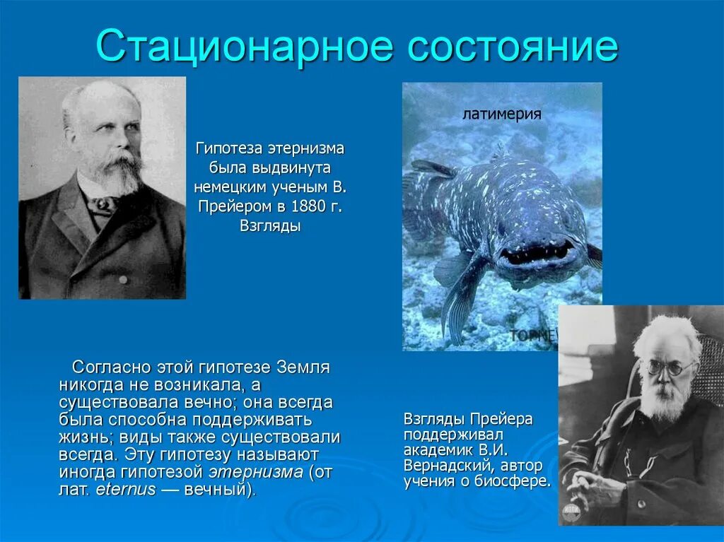 Теория стационарного состояния. Гипотеза стационарного состояния. Гипотизм. Стационарного состояния. Теория стационарного состояния сторонники.