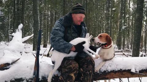 Охота с гончими на зайца видео свежее