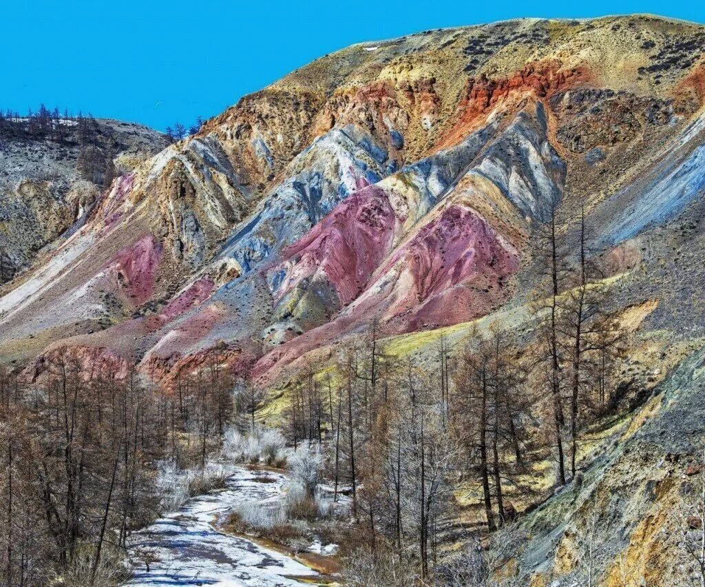 Красно алтайский край