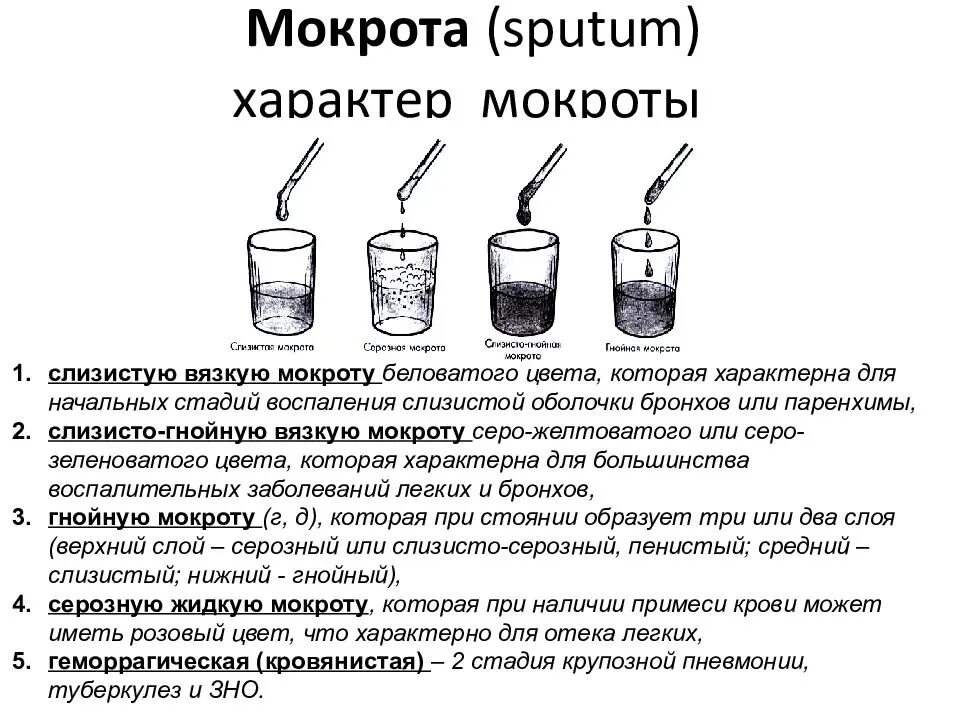 Кашель с выделением слизисто гнойной мокроты. Слизисто гнойная мокрота характеристика. Серозный характер мокроты. Схема вид мокроты. Механизм выделения мокроты.