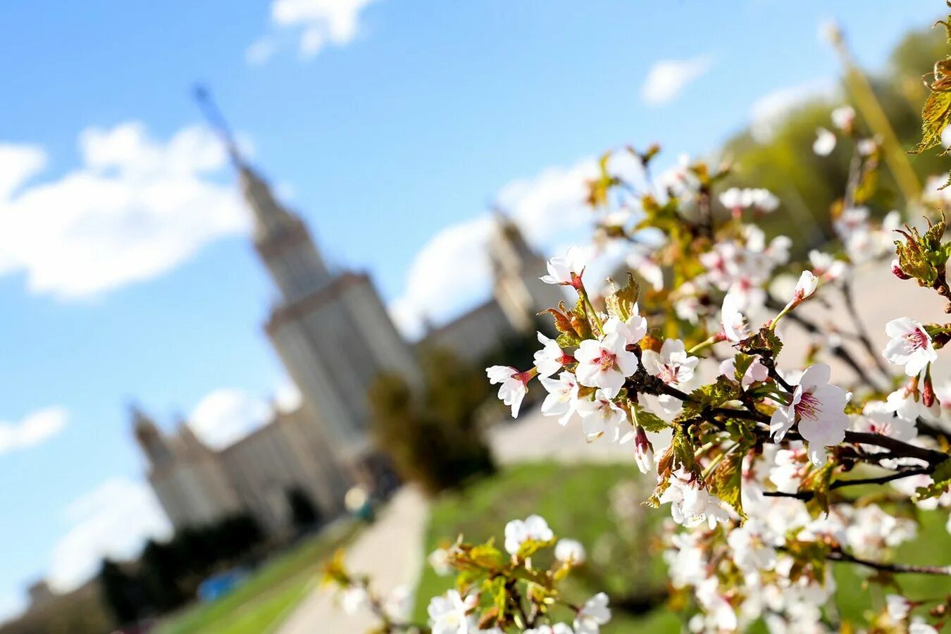 Май в Москве. Москва весной. Весенний город. Spring is russia