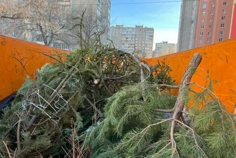 Елка в кировском районе