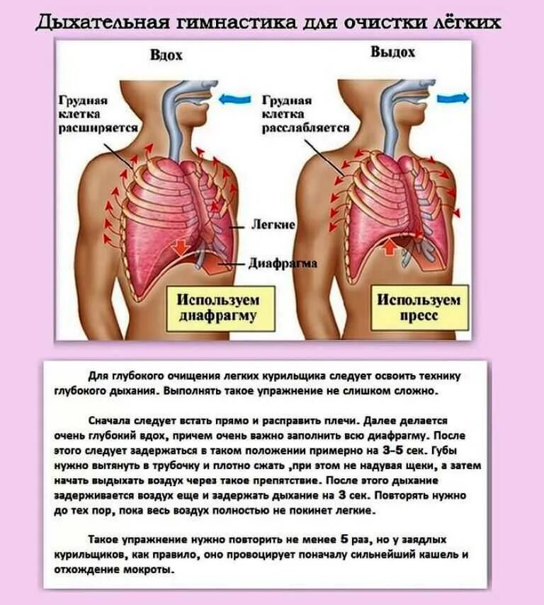 Гимнастика для лёгких и бронхов дыхательная. Дыхательнаямгимнастика. Дыхательные упражнения для легких. Упражнения на дыхание для легких. Бросил курить очистить организм