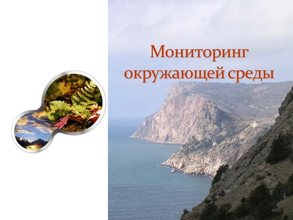 Мониторинг окружающий мир