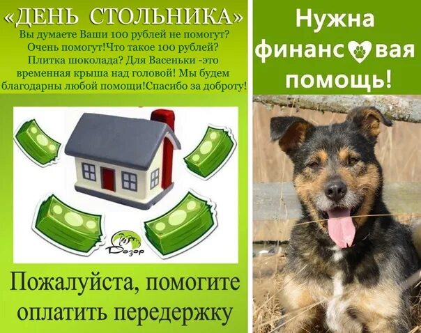 Как звали стольника который в 1673 году. День стольника. день стольника для животных. день стольника для военных. день стольника для детей.