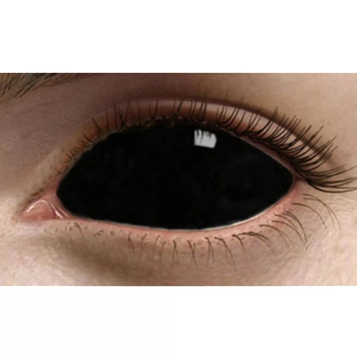 Black sclera 2 линзы. Склеральные линзы черные 22мм. Карнавальные линзы Black sclera Black. Склеры Devil sclera 22 mm Корея.