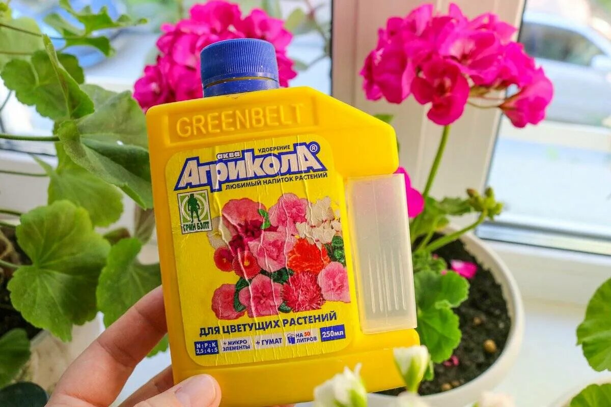 Йод для цветов комнатных. Удобряем герань для цветения. Комплексное удобрение для пеларгонии. Подкормка пеларгонии для обильного цветения. Подкормка пеларгонии для обильного цветения.
