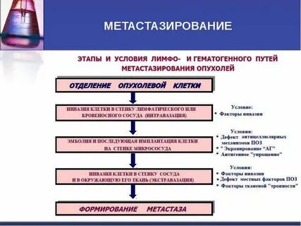 2 и 3 стадии