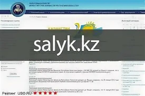 кабинет налогоплательщика рк. Salyk kg кабинет. Kg. кабинет налогоплательщика рк 2020. Lk.