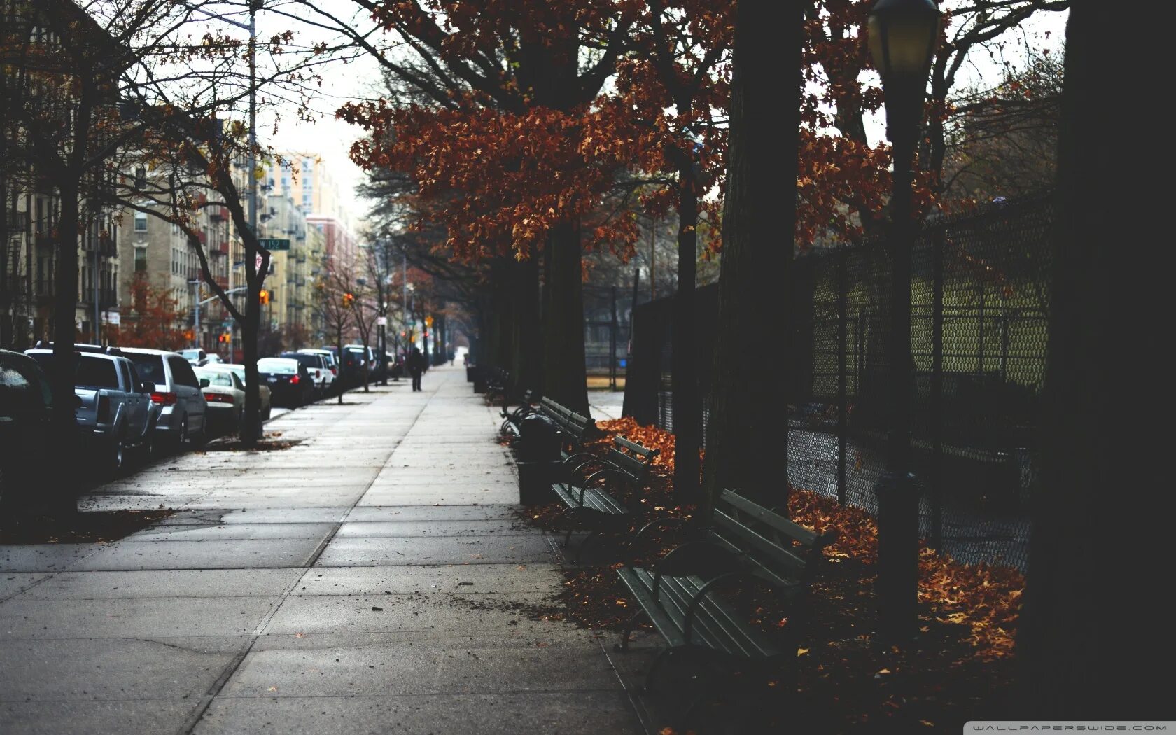 Day in new city. Осенний Нью-Йорк Эстетика. Осень в Нью-Йорке» (autumn in New York), 2000. Нью Йорк aesthetic улица. Нью Йорк осень Эстетика.