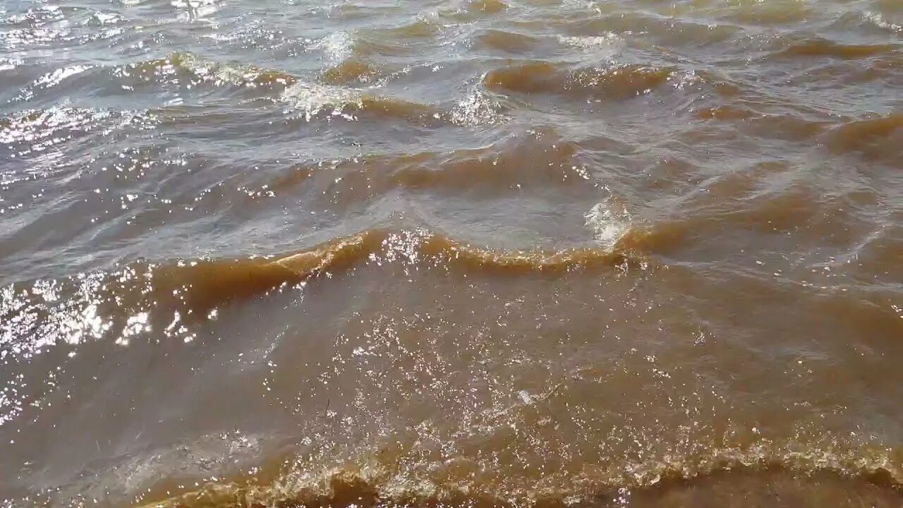 Уровень воды в реке обь город новосибирск. Дно реки Обь. Обь наводнение. Река Обь под водой. Паводок реки Обь.