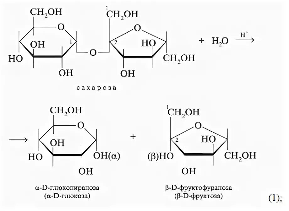 Третий экзамен сахарозы. Гидролиз сахарозы уравнение реакции. Кислотный гидролиз сахарозы реакция. Ферментативный гидролиз сахарозы реакция. Кислотный гидролиз сахарозы уравнение реакции.