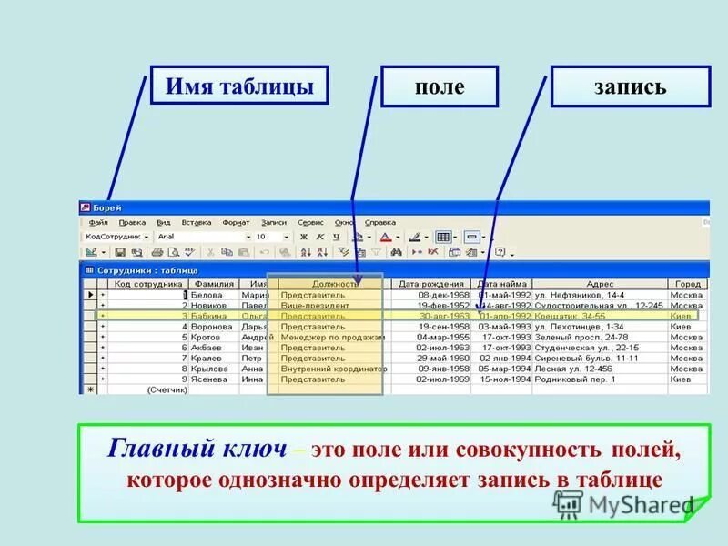 Поля таблицы. Табличный вид базы данных. Имя поля таблицы. Имена полей в базе данных в таблице.