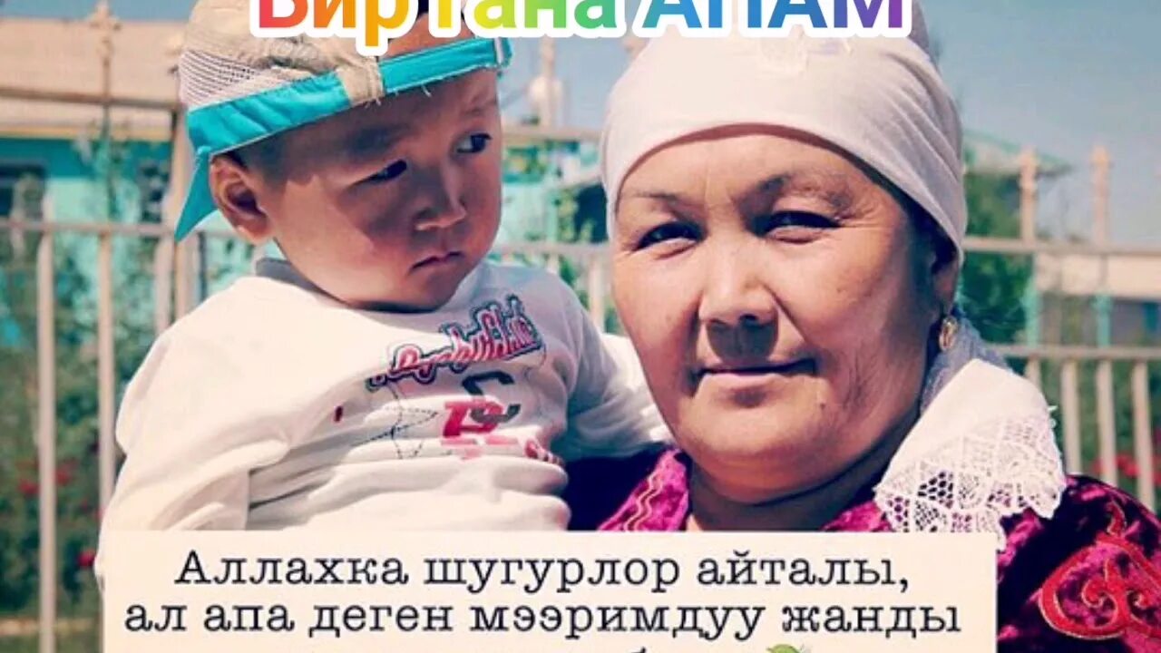 Чаще апам дерево. Бейишим апам. картинка апам. фото алтын апам. бир гана апам мени чанып.