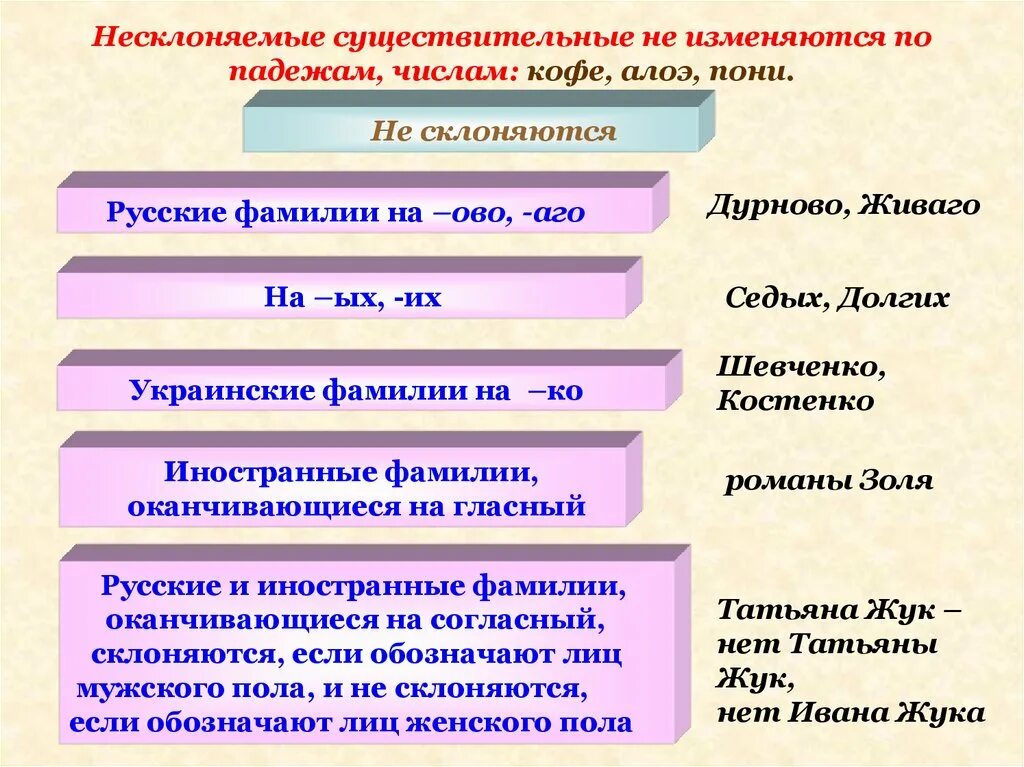 Слова изменяются по числам и падежам. Несклоняемых существительных. Несклоняемые фамилии. Число несклоняемых существительных. Несклоняемые русские фамилии.