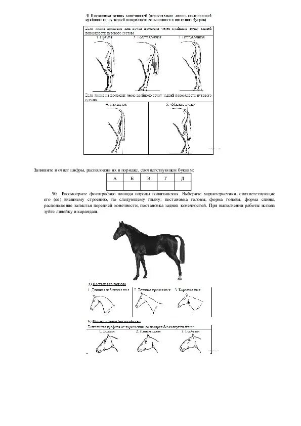 ОГЭ биология задание с лошадью. Задание 28 ОГЭ биология. Биология задания из ОГЭ. Лошадь ОГЭ по биологии 2022. Биология огэ 9051