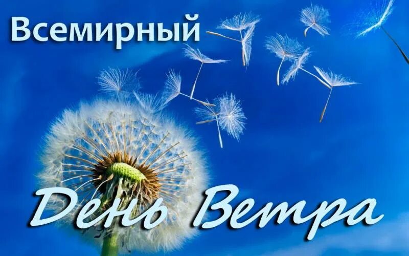 Всемирный день ветра. Всемирный день ветра 15 июня. Всемирный день ветра праздник. Поздравления с днём ветра.