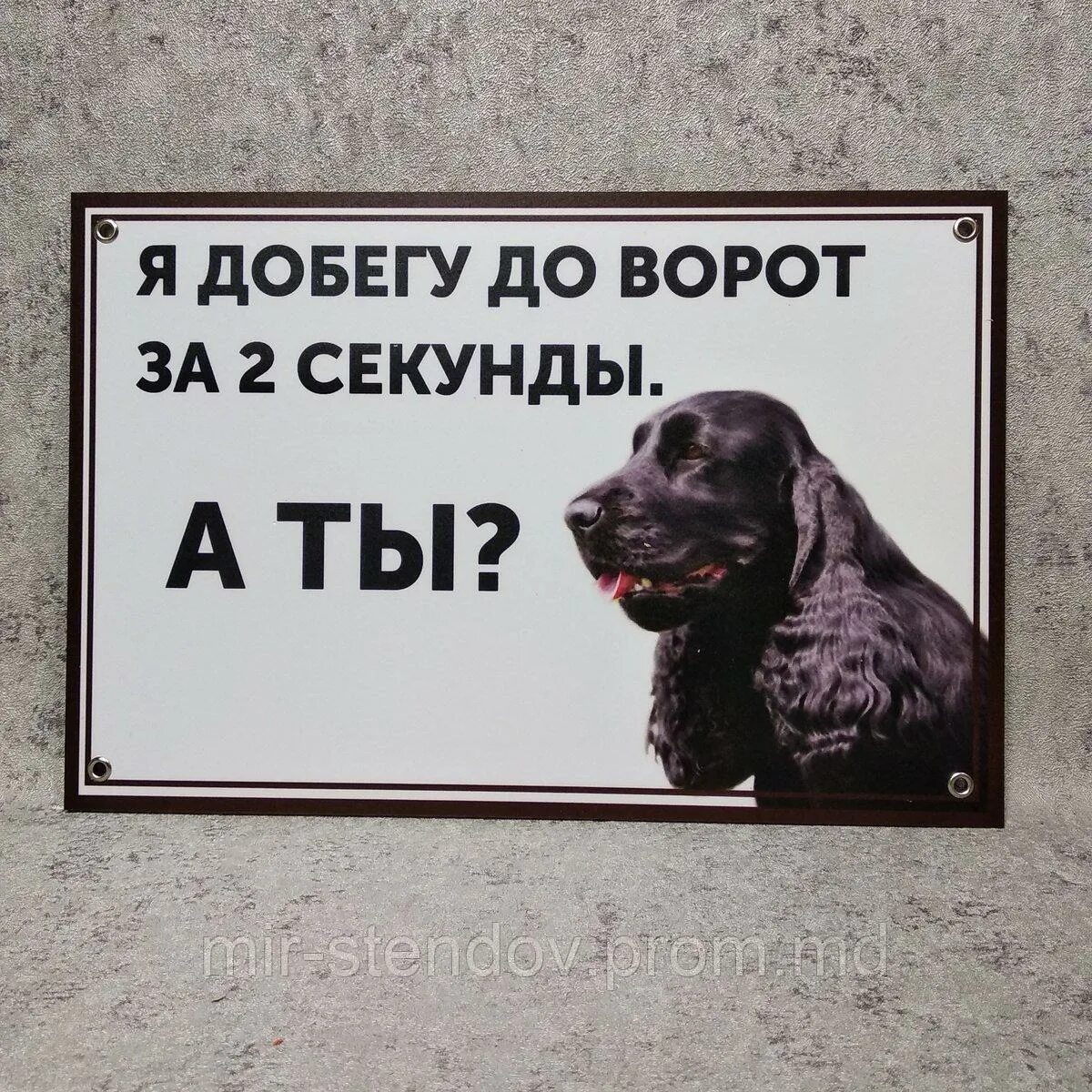 Мяч летит в ворота. Оригинальные таблички злая собака. Докатился до ворот подкатился под ворота. Добежать до ворот. Добежать до ворот.