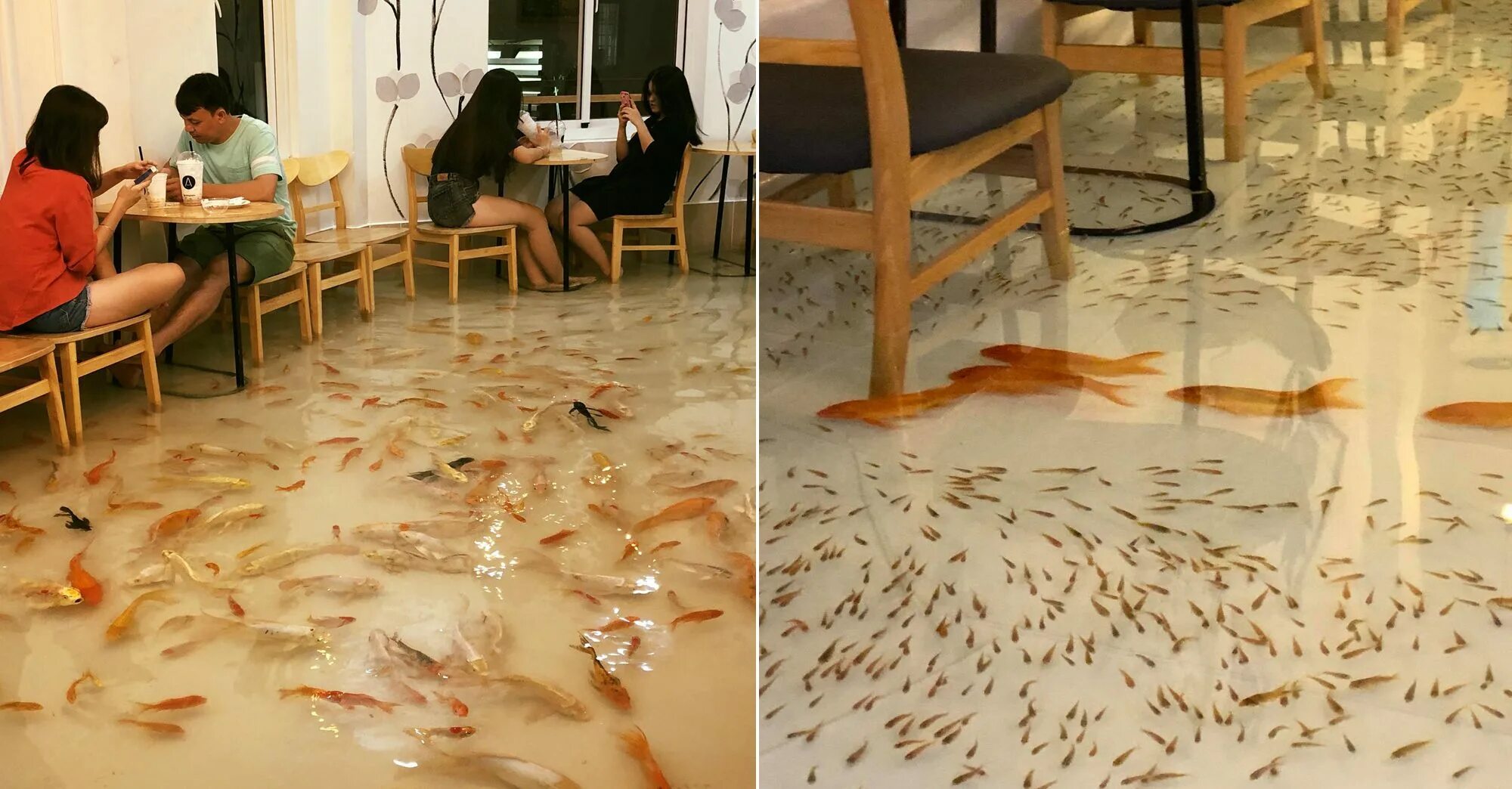 Где то пол 6. Amix Coffee Вьетнам. Кафе с рыбками на полу во Вьетнаме. Пол с рыбками. Ресторан с рыбками на полу.