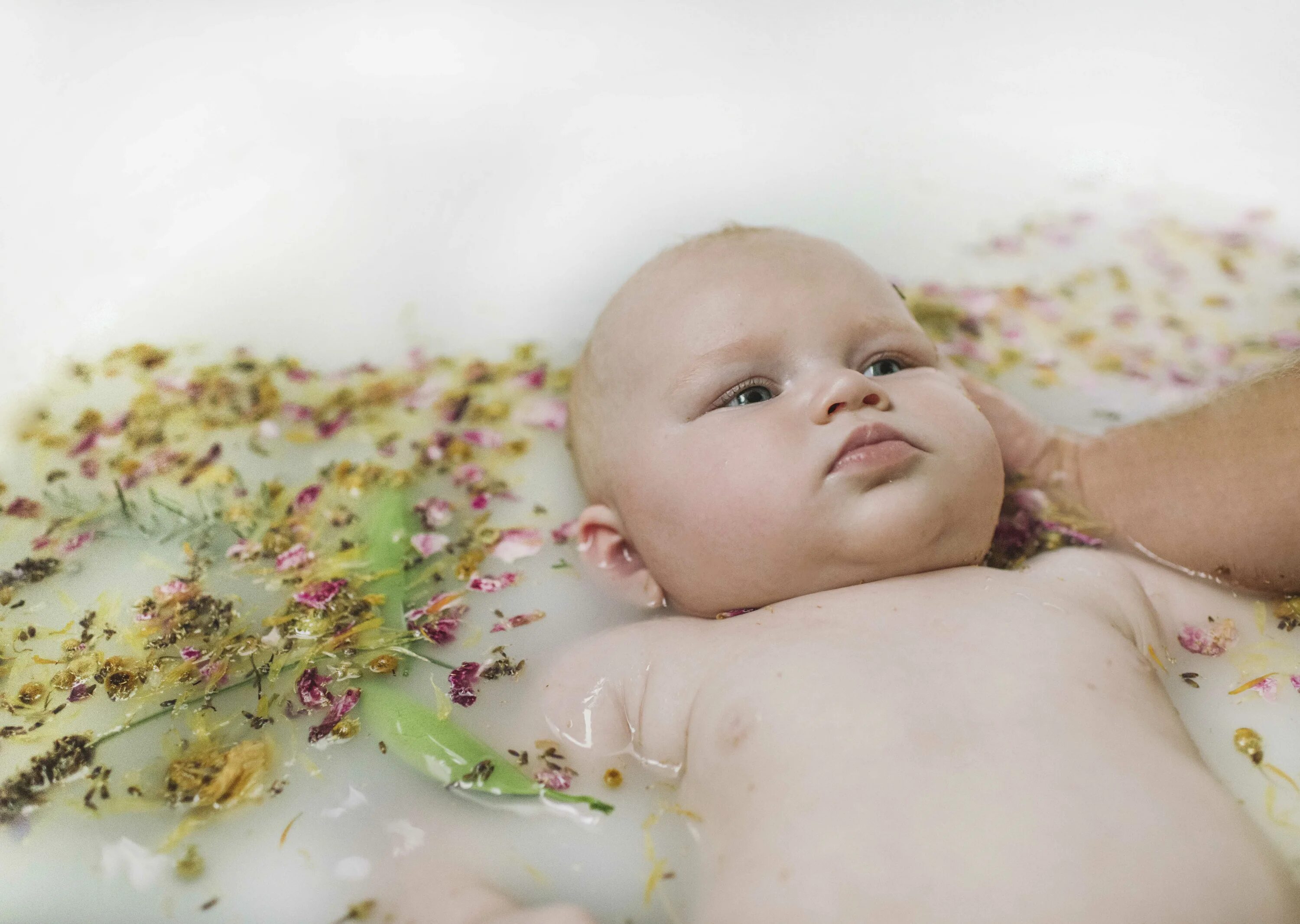 Можно ли купать при насморке. Ребенок в ванне с травами. Травяные ванны для детей. Купание ребенка в ванне с травами. Ванна с травами для малыша.