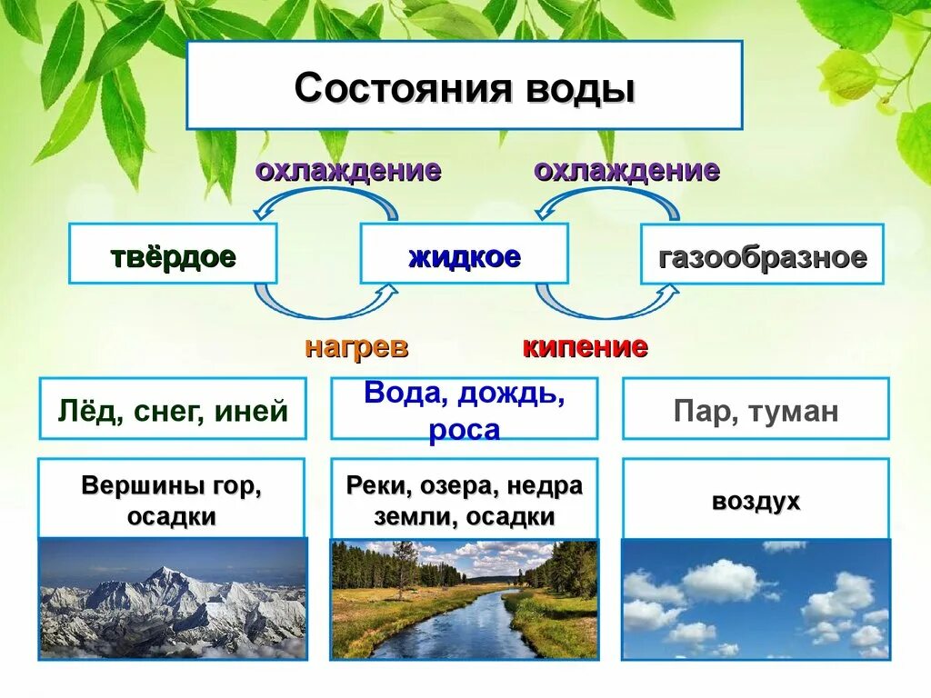 Состояния воды. Состояние воды в природе. Три состояния воды в природе. Состояния воды схема. Примеры состояния воды