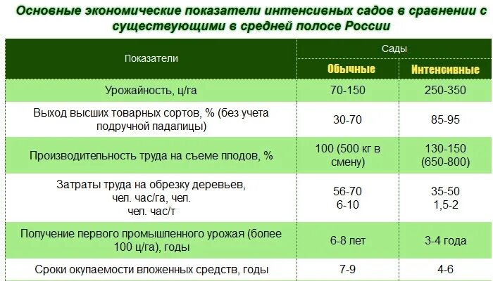 Сколько можно заработать на выращивание. Урожайность яблоневого сада с 1 га. Средняя урожайность яблок с 1 га. Урожайность интенсивного сада с 1 га. Средняя урожайность яблок с гектара.