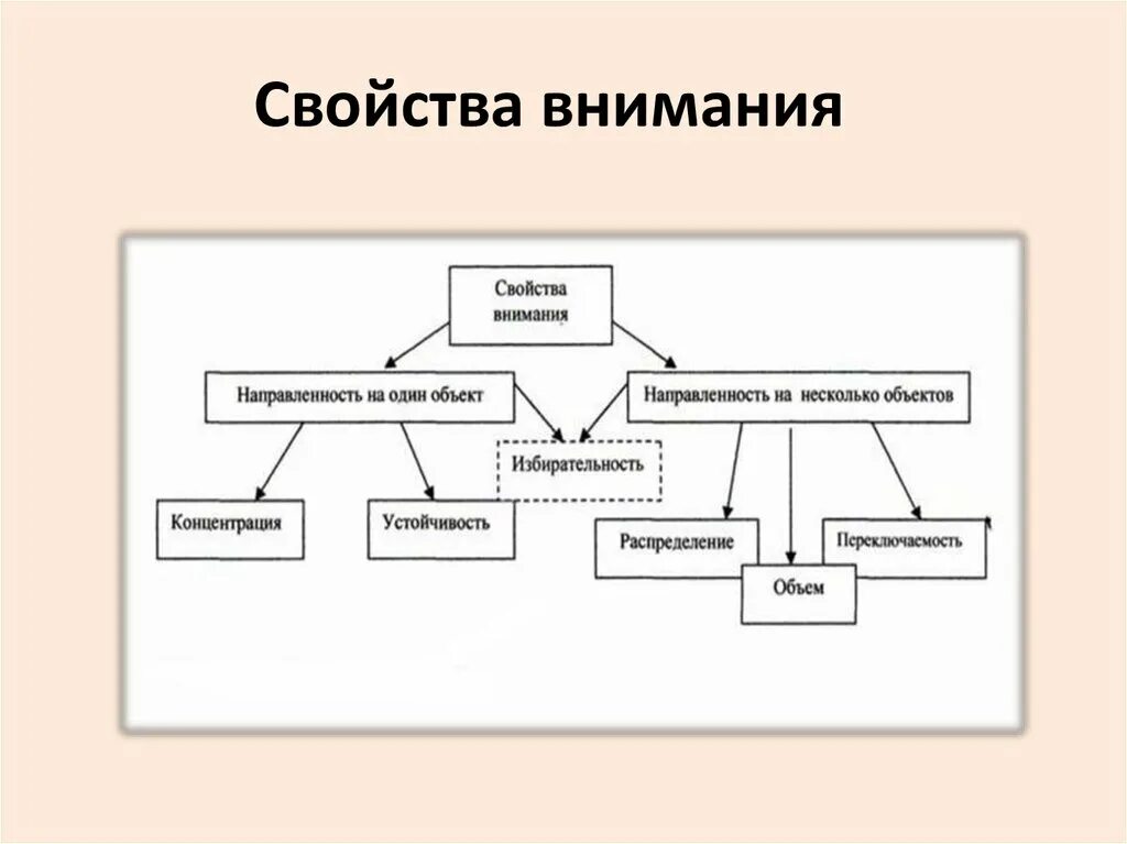 Развитие функции внимания. Внимание характеристика виды свойства психология. Виды внимания схема. Свойства внимания в психологии. Формы внимания в психологии.