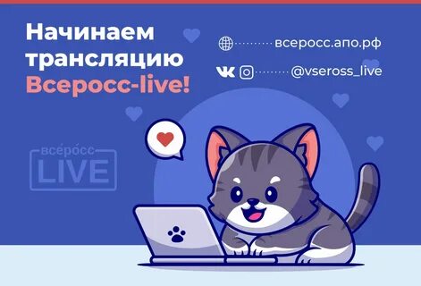 Котики в линию ответы 9 класс