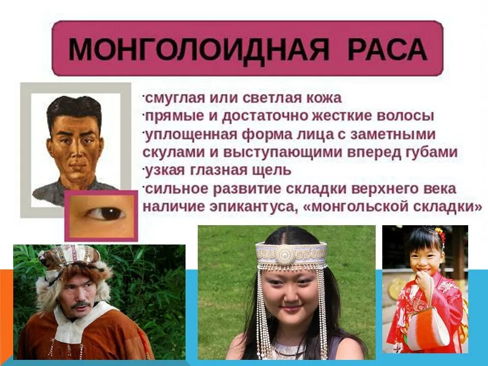 Монголоидная раса раса. Люди монголоидной расы. Черты монголоидной расы. Человеческие расы монголоидная.