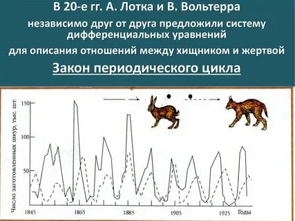 90 особей