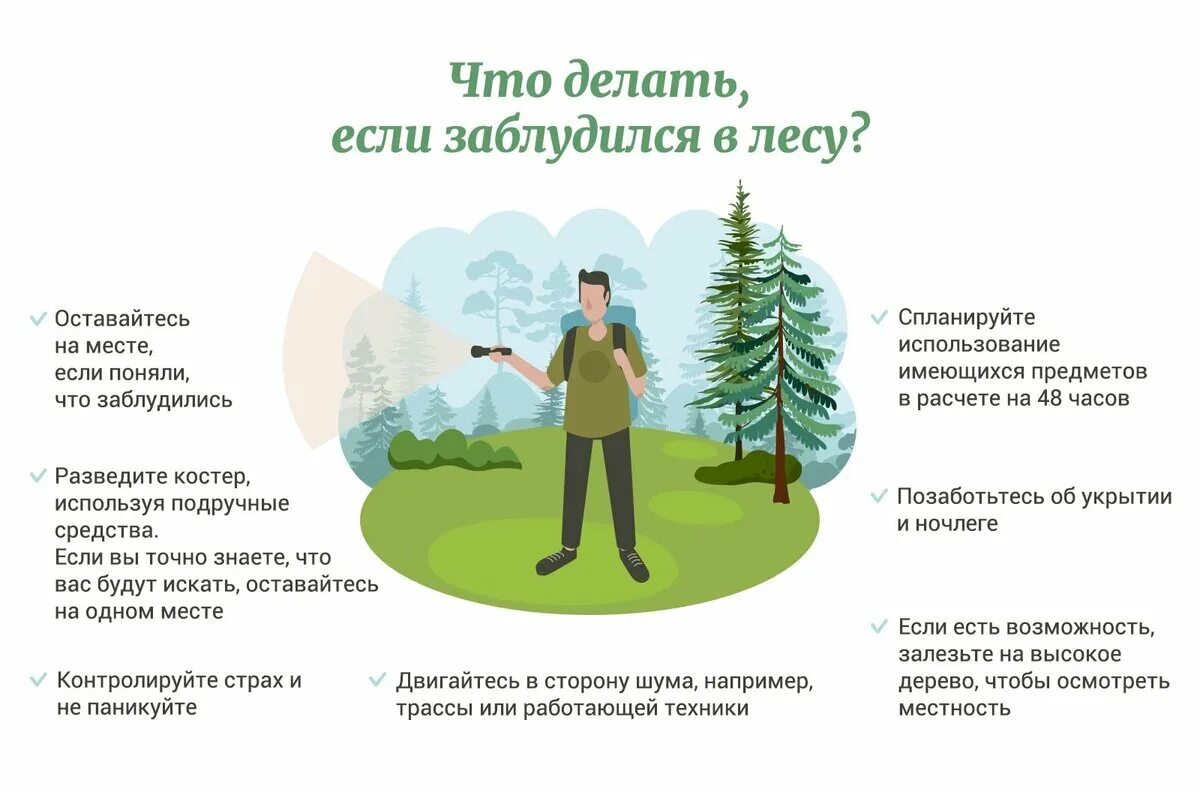 Как нужно ходить в лесу. Памятка заблудившемуся в лесу. памятка если заблудился в лесу. памятка потерявшемуся в лесу. памятка если ты заблудился в лесу.