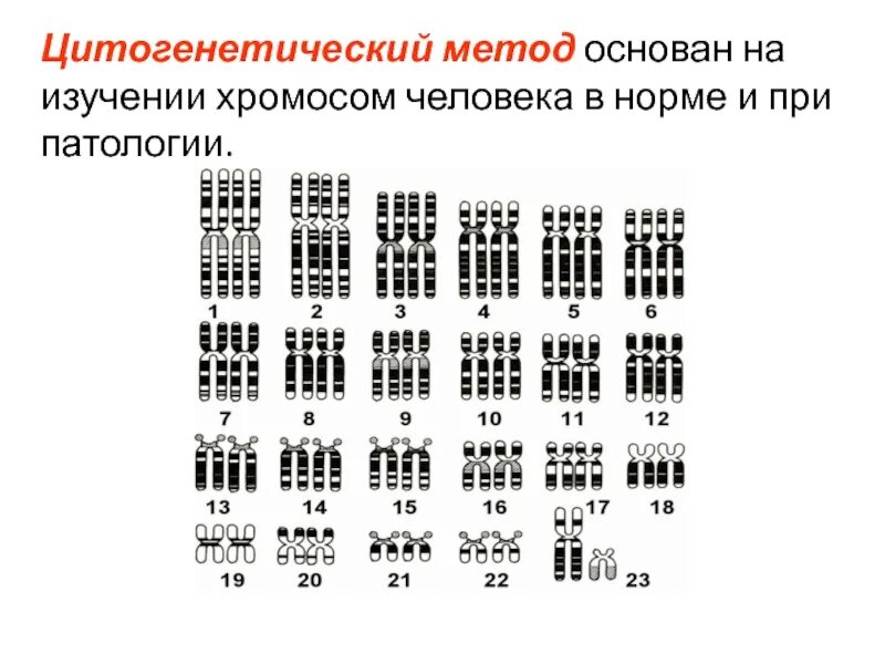 Какие методы используют для цитогенетического исследования. Цитогенетический метод исследования наследственности. Цитогенетический метод исследования наследственности человека. Цитогенетические методы изучения наследственности человека.. Методика цитогенетического исследования.