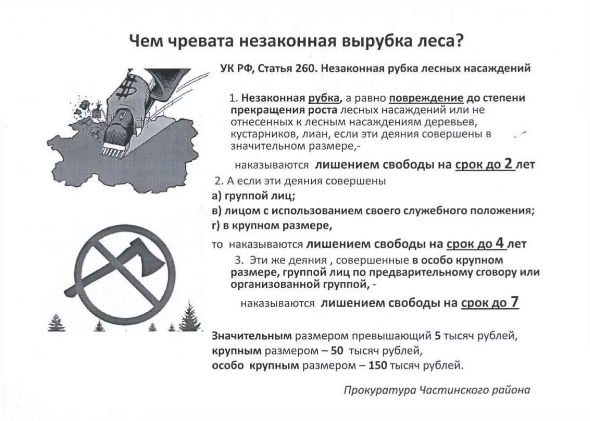 Ст 260 ук рф незаконная рубка. Штрафы за незаконную вырубку леса. Памятка незаконное вырубка леса. Памятка незаконная рубка лесных насаждений. Незаконная рубка листовка.