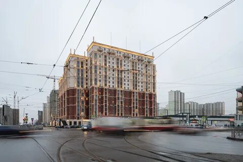 Дыбенко 8