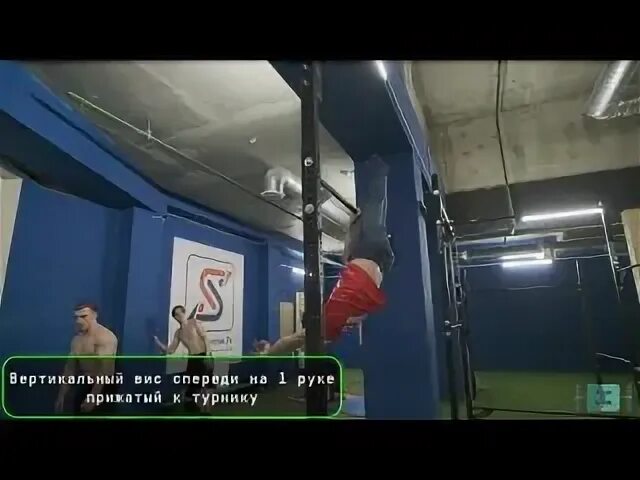 2024 вис