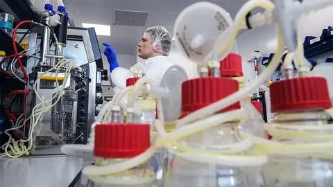 Научные открытия последнего десятилетия