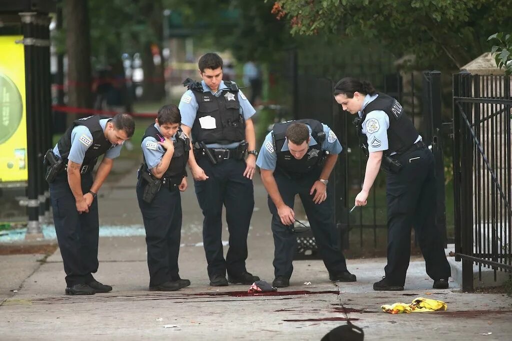 Police investigations. Ордер полиции. Police investigations. Police investigations. New york state police criminal investigations.