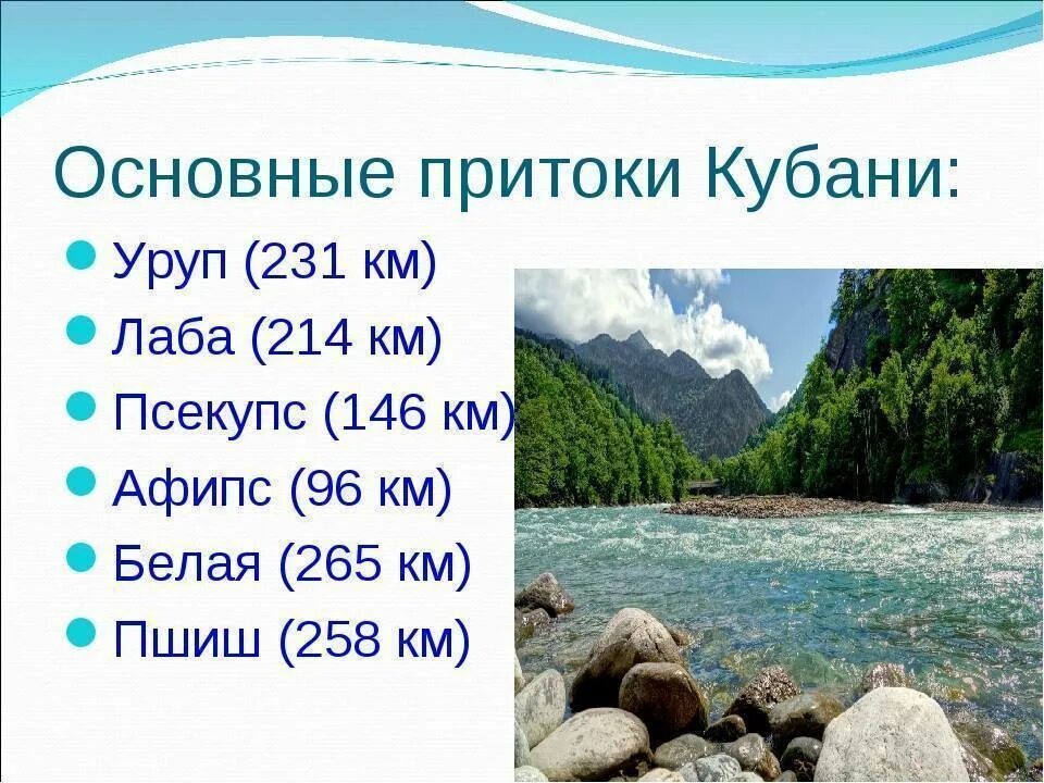 Притоки реки Кубань. Река Кубань кубановедение 2 класс. Река Кубань притоки Кубани. Река Кубань притоки реки.