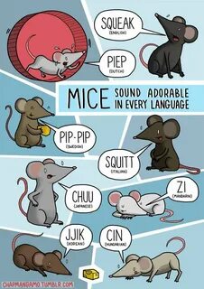 Did mouse