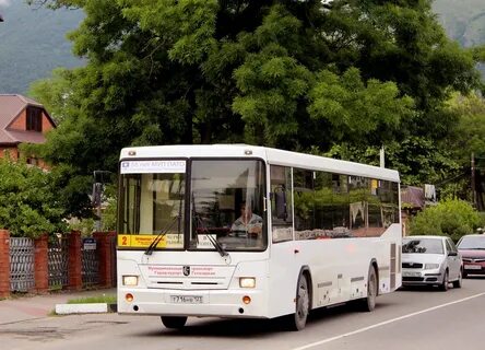 Сколько на автобусе до геленджика